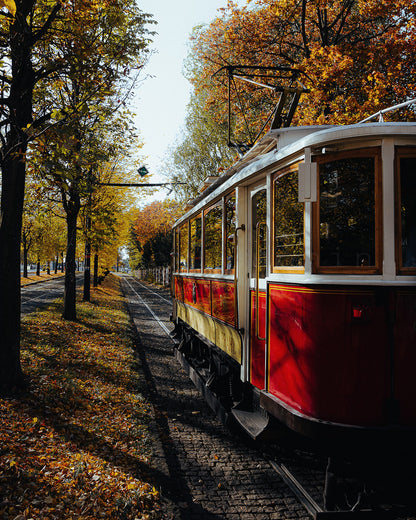 Through Autumn #1, 40x50 cm / 16x20″, Aluminum