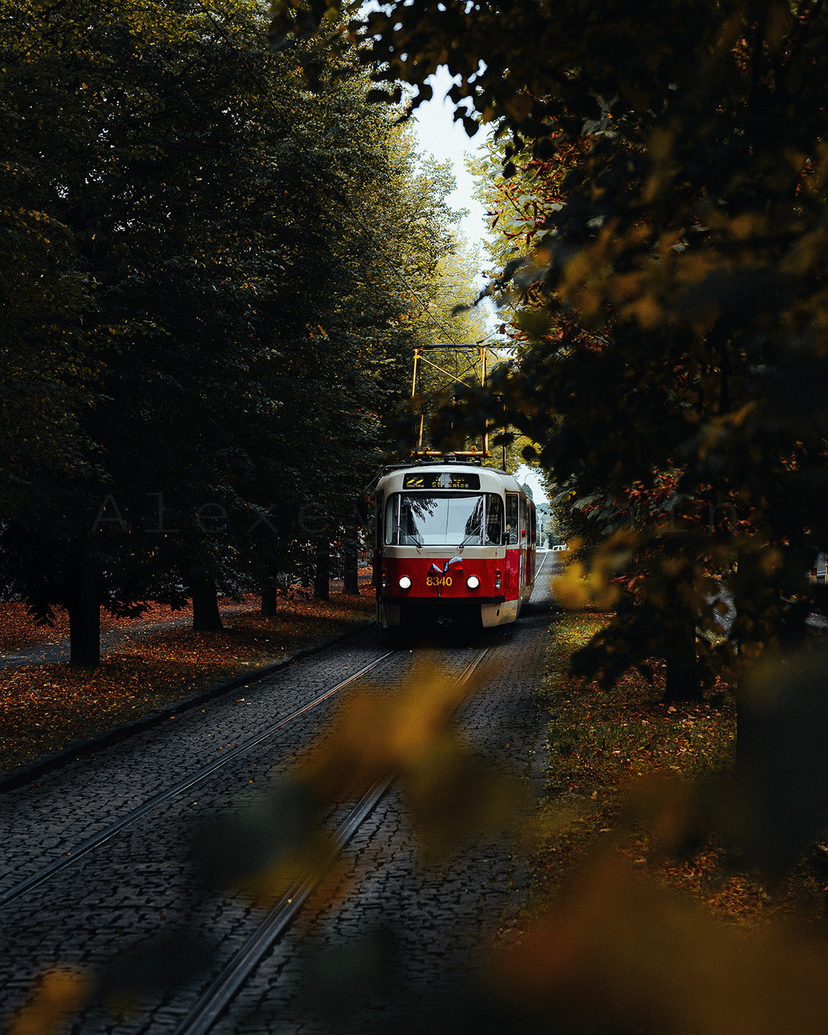 Through Autumn #2, 40x50 cm / 16x20″, Aluminum