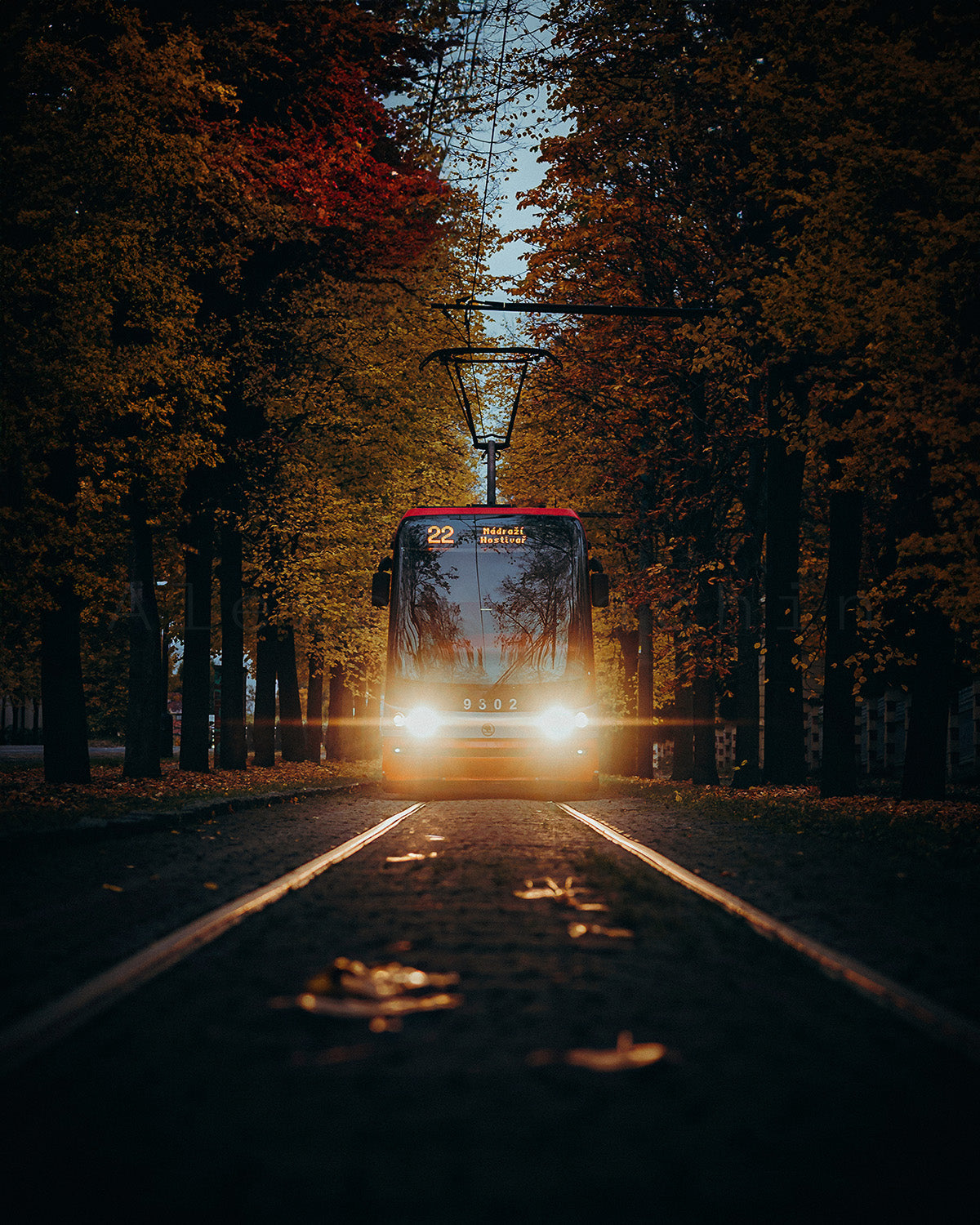 Through Autumn #3, 40x50 cm / 16x20″, Aluminum