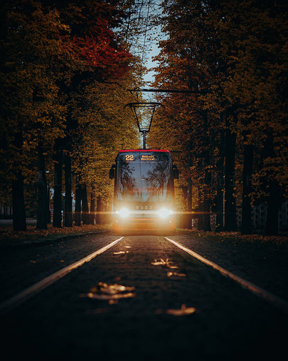 Through Autumn #3, 40x50 cm / 16x20″, Aluminum